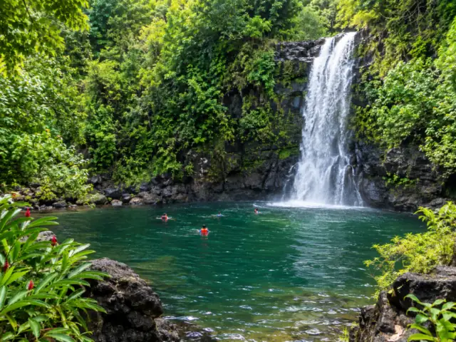 Die Waimea Falls stürzen in ein Dschungelbecken mit Badenden